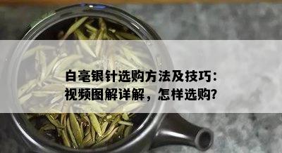 白毫银针选购方法及技巧：视频图解详解，怎样选购？