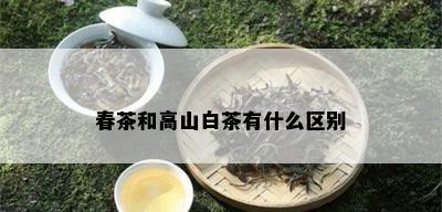 春茶和高山白茶有什么区别