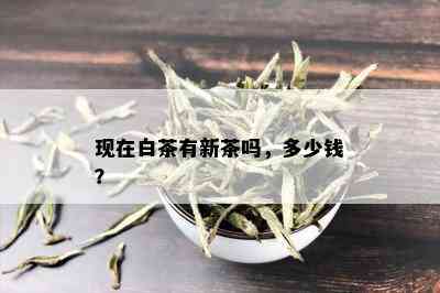 现在白茶有新茶吗，多少钱？