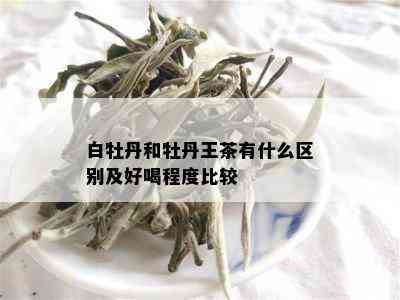 白牡丹和牡丹王茶有什么区别及好喝程度比较