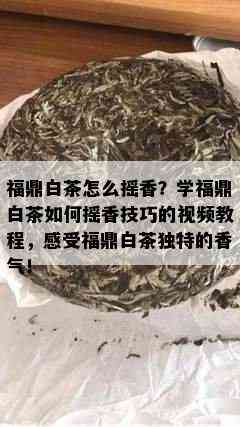 福鼎白茶怎么摇香？学福鼎白茶如何摇香技巧的视频教程，感受福鼎白茶独特的香气！