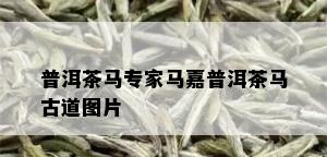 普洱茶马专家马嘉普洱茶马古道图片