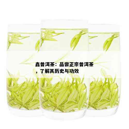 鑫普洱茶：品尝正宗普洱茶，了解其历史与功效