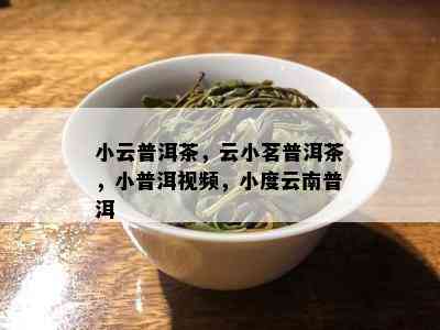 小云普洱茶，云小茗普洱茶，小普洱视频，小度云南普洱