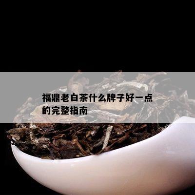 福鼎老白茶什么牌子好一点的完整指南