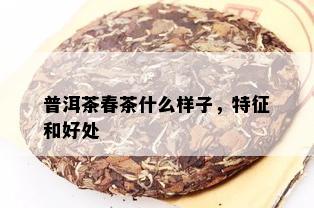 普洱茶春茶什么样子，特征和好处