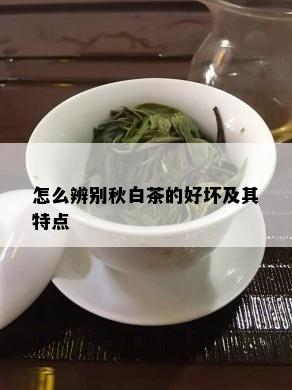 怎么辨别秋白茶的好坏及其特点