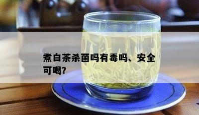 煮白茶杀菌吗有吗、安全可喝？