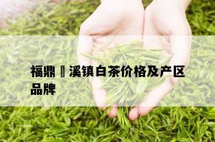 福鼎磻溪镇白茶价格及产区品牌