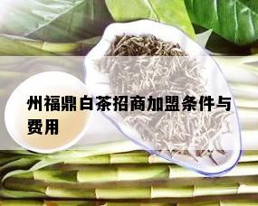 州福鼎白茶招商加盟条件与费用