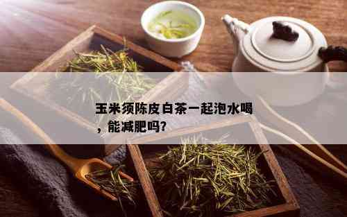 玉米须陈皮白茶一起泡水喝，能减肥吗？