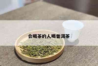 会喝茶的人喝普洱茶