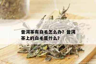 普洱茶有白毛怎么办？普洱茶上的白毛是什么？