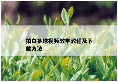 拍白茶球视频教学教程及下载方法