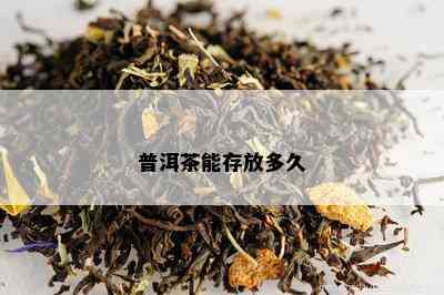 普洱茶能存放多久