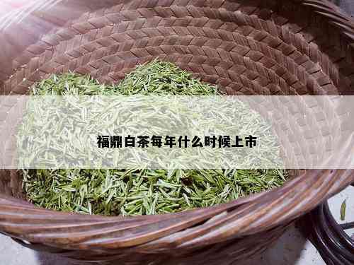 福鼎白茶每年什么时候上市