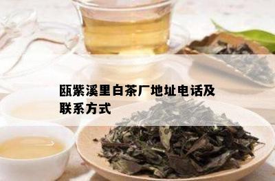 瓯紫溪里白茶厂地址电话及联系方式