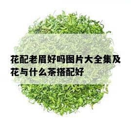 花配老眉好吗图片大全集及花与什么茶搭配好