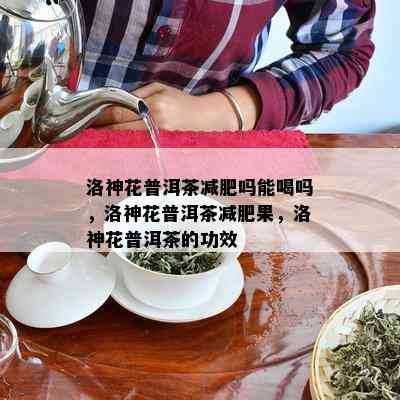 洛神花普洱茶减肥吗能喝吗，洛神花普洱茶减肥果，洛神花普洱茶的功效