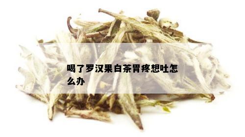 喝了罗汉果白茶胃疼想吐怎么办