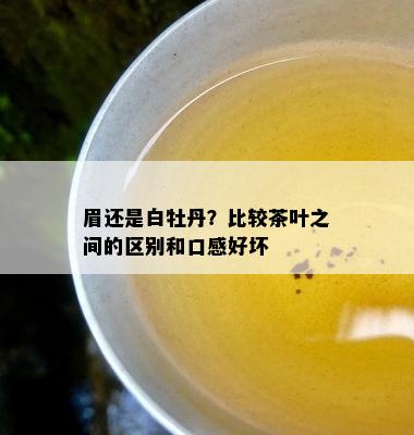 眉还是白牡丹？比较茶叶之间的区别和口感好坏