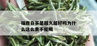 福鼎白茶是越久越好吗为什么这么贵不能喝