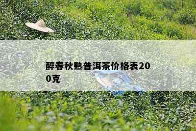 醉春秋熟普洱茶价格表200克