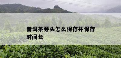 普洱茶芽头怎么保存并保存时间长