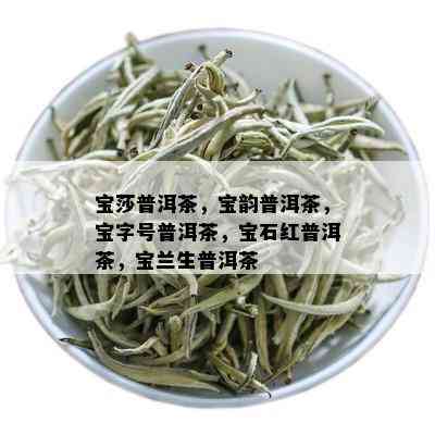 宝莎普洱茶，宝韵普洱茶，宝字号普洱茶，宝石红普洱茶，宝兰生普洱茶