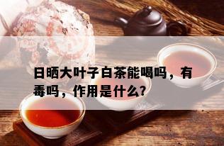 日晒大叶子白茶能喝吗，有吗，作用是什么？