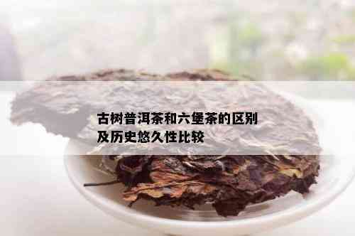 古树普洱茶和六堡茶的区别及历史悠久性比较