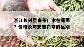 浙江长兴县白茶厂家在哪里？价格及与安吉白茶的区别。