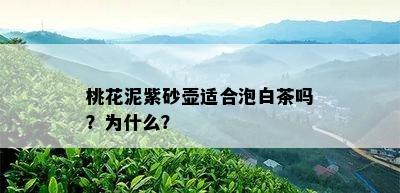 桃花泥紫砂壶适合泡白茶吗？为什么？