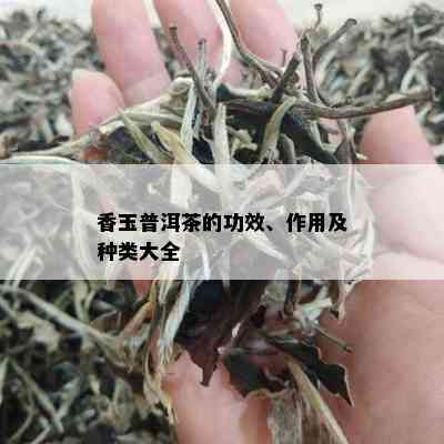 香玉普洱茶的功效、作用及种类大全