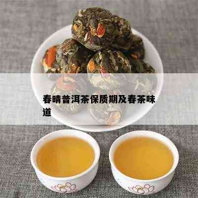 春晴普洱茶保质期及春茶味道