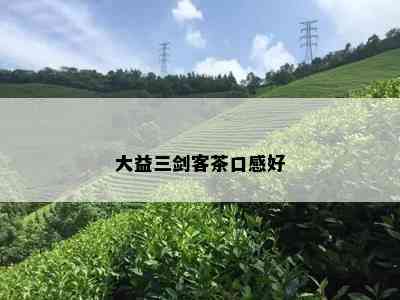 大益三剑客茶口感好