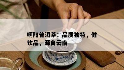 啊阳普洱茶：品质独特，健饮品，源自云南