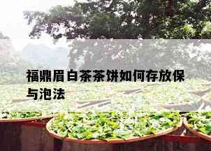 福鼎眉白茶茶饼如何存放保与泡法