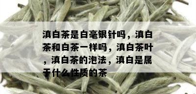 滇白茶是白毫银针吗，滇白茶和白茶一样吗，滇白茶叶，滇白茶的泡法，滇白是属于什么性质的茶