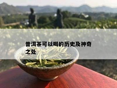 普洱茶可以喝的历史及神奇之处