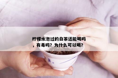 柠檬水泡过的白茶还能喝吗，有吗？为什么可以喝？