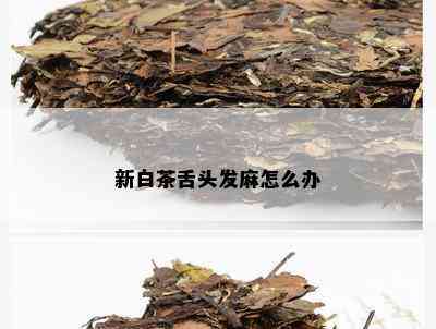 新白茶舌头发麻怎么办