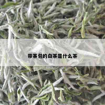 带茶包的白茶是什么茶