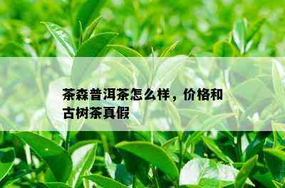 茶森普洱茶怎么样，价格和古树茶真假