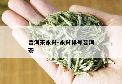 普洱茶永兴-永兴祥号普洱茶