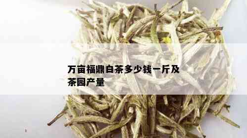 万亩福鼎白茶多少钱一斤及茶园产量