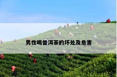 男性喝普洱茶的坏处及危害