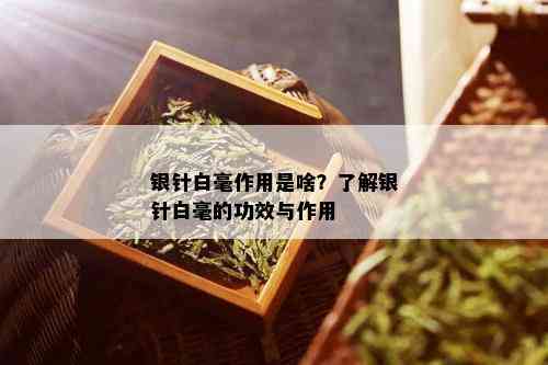 银针白毫作用是啥？了解银针白毫的功效与作用