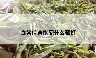 白茶适合搭配什么菜好