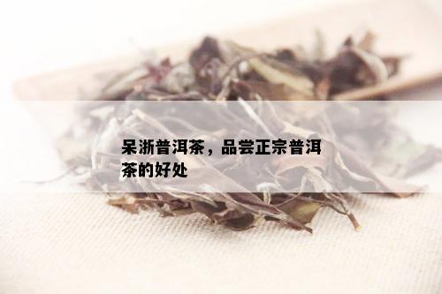 呆浙普洱茶，品尝正宗普洱茶的好处